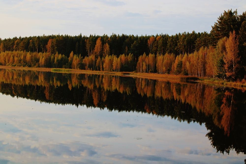 Photograph by Вероника Архипова