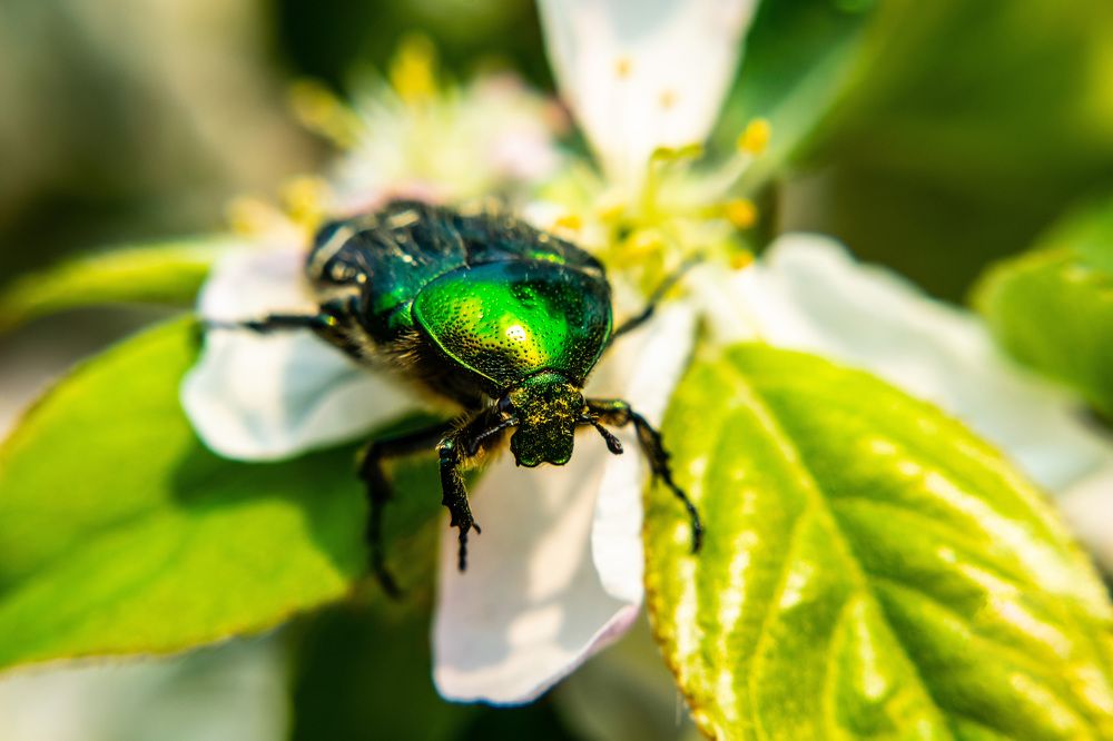 Photograph by Дмитрий Анисимов
