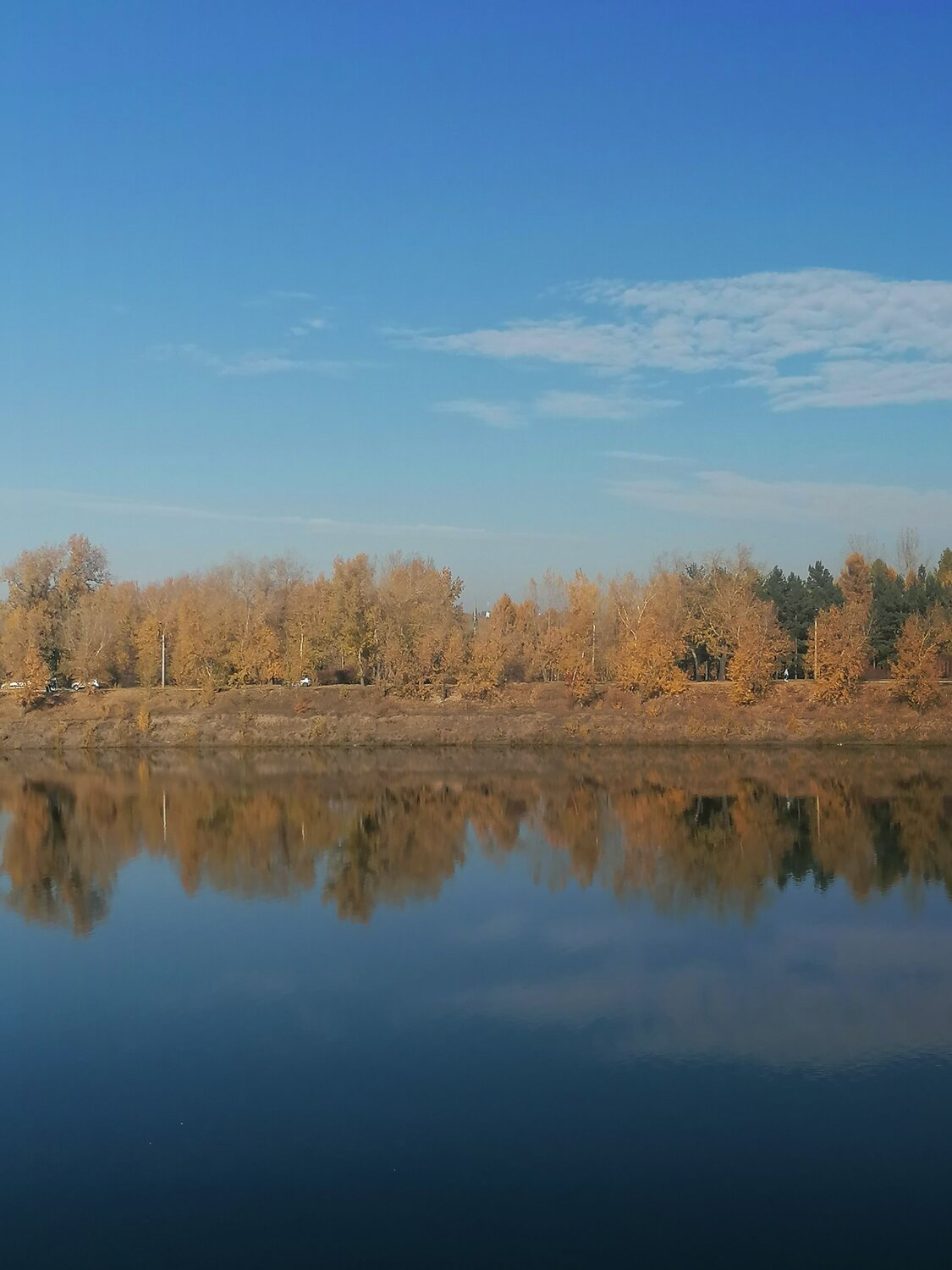 Photo #11070054