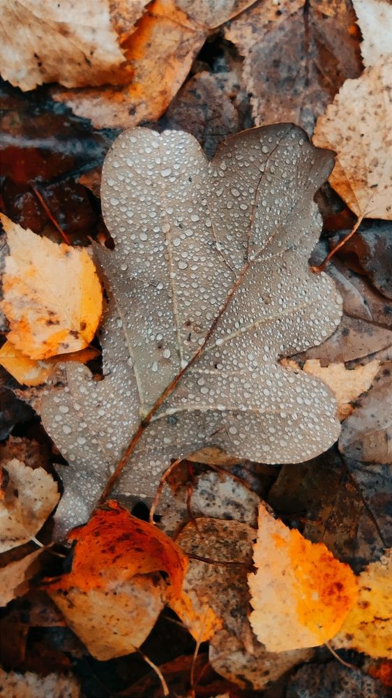 Photograph by Ekaterina Sapezhinskaya