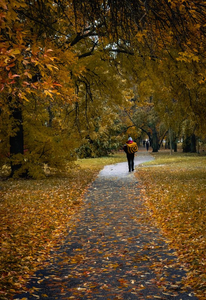 Фотография автора Геннадий Ломеко