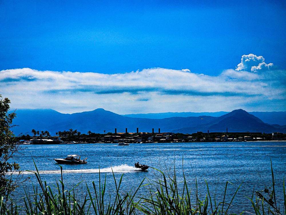 Фотография автора Elaine Almeida