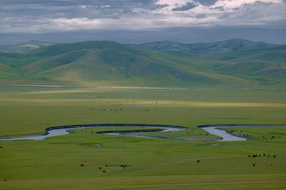 Photograph by Chen Chen