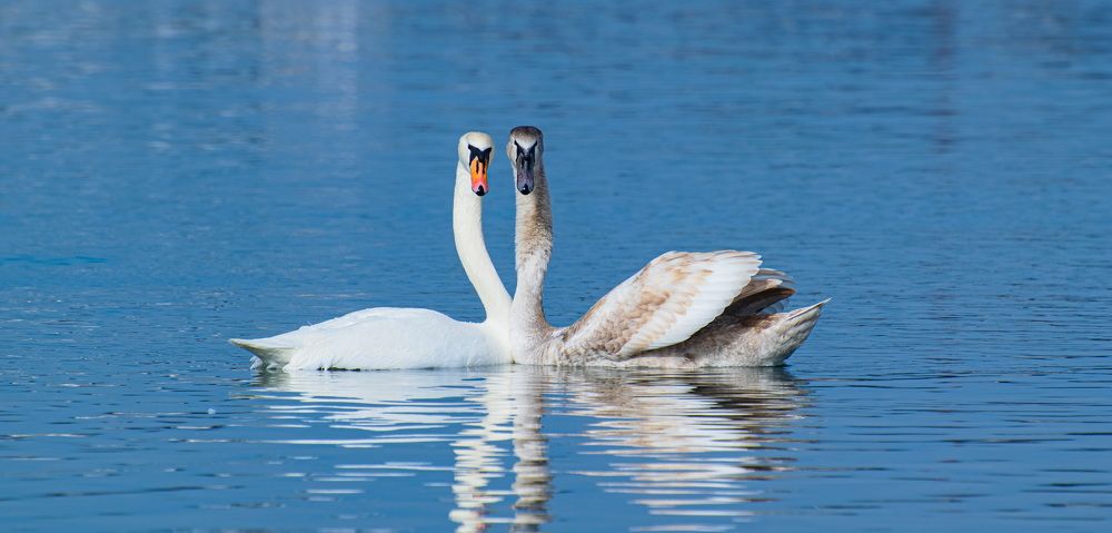 Photograph by Алексей Мордвишин