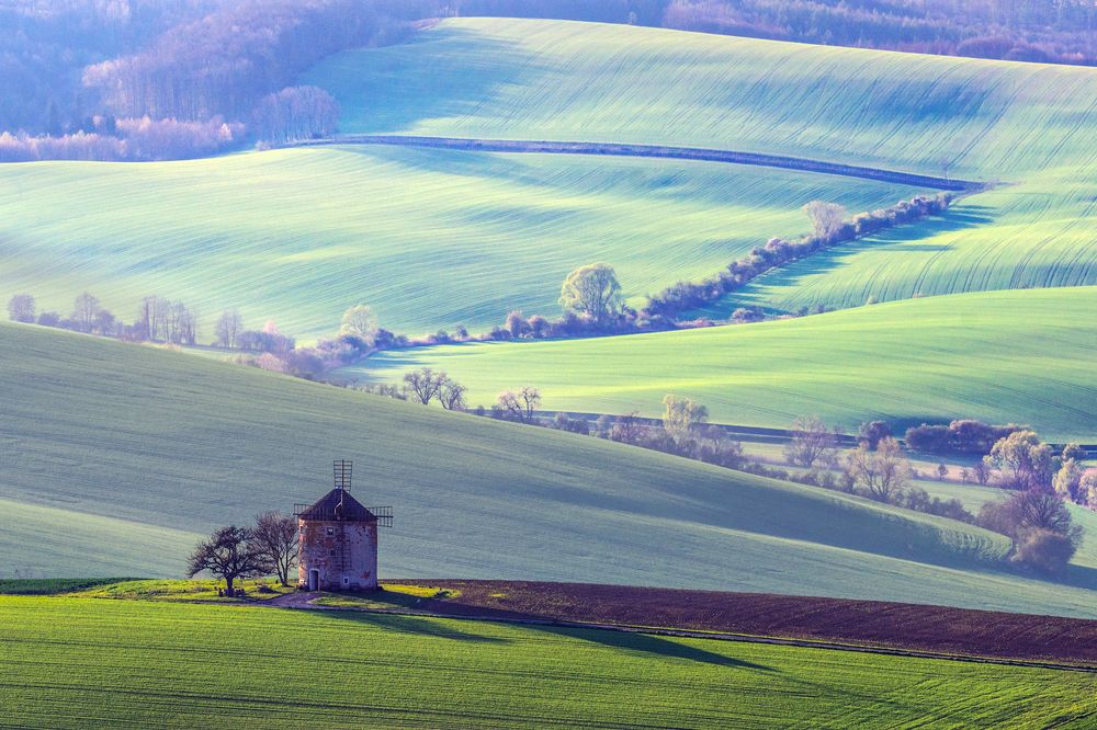 Photograph by Крицак Ольга