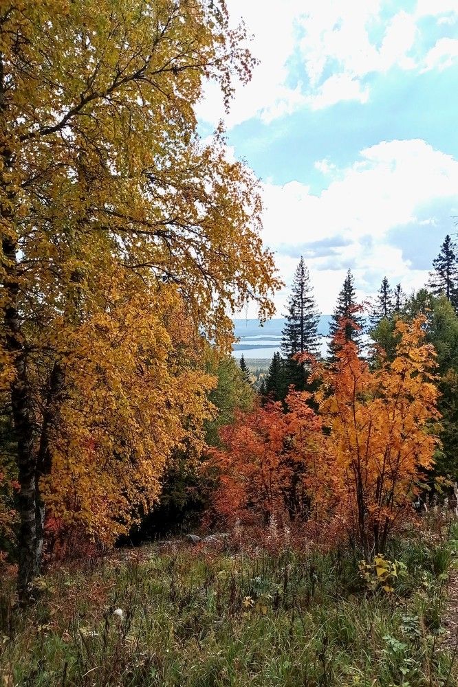 Photograph by Ирина Орлова