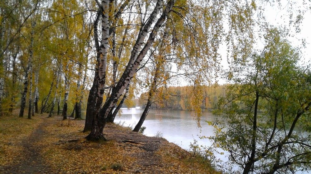 Photograph by Ирина Орлова