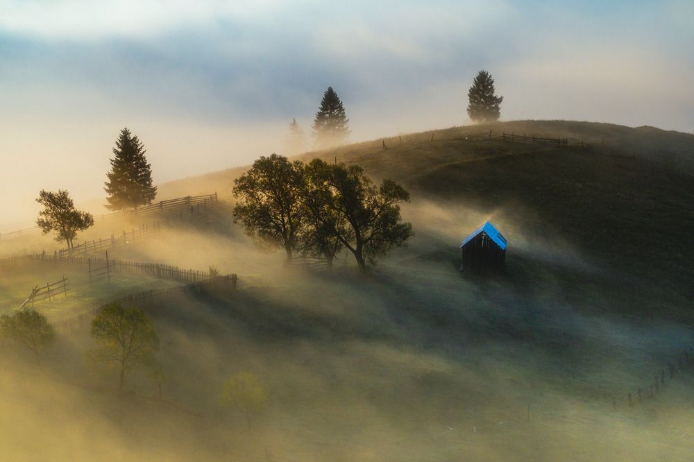 Фотография автора Popescu Cezar Gabriel