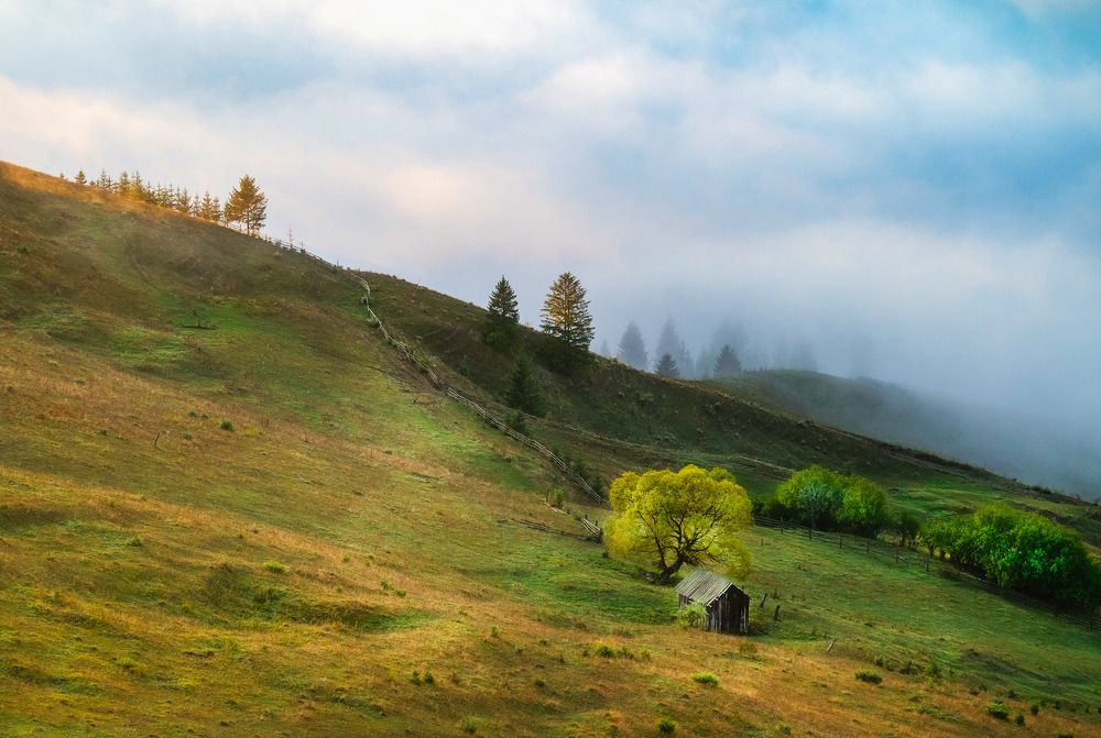 Фотография автора Popescu Cezar Gabriel