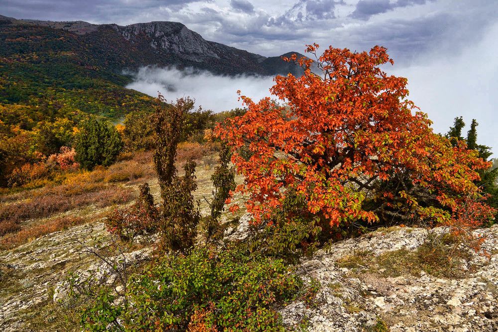 Photograph by Михаил Баевский