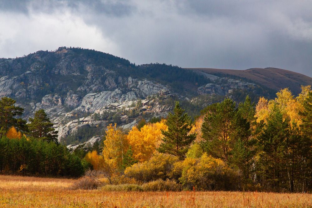 Фотография автора Andrey Shishkalov
