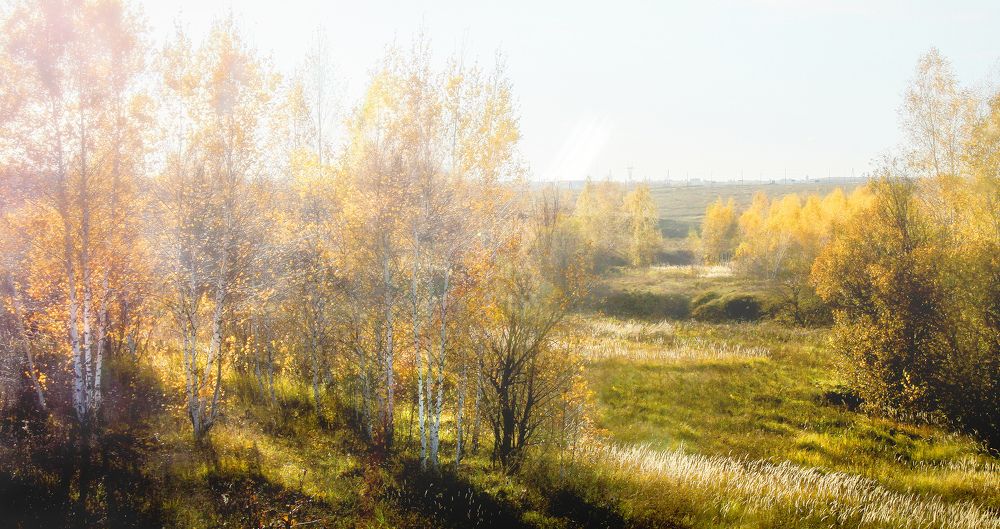 Photograph by Вячеслав Лычков