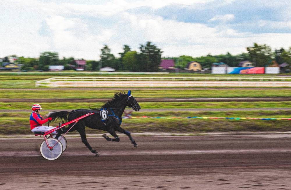 Фотография автора Ирина Гриценко