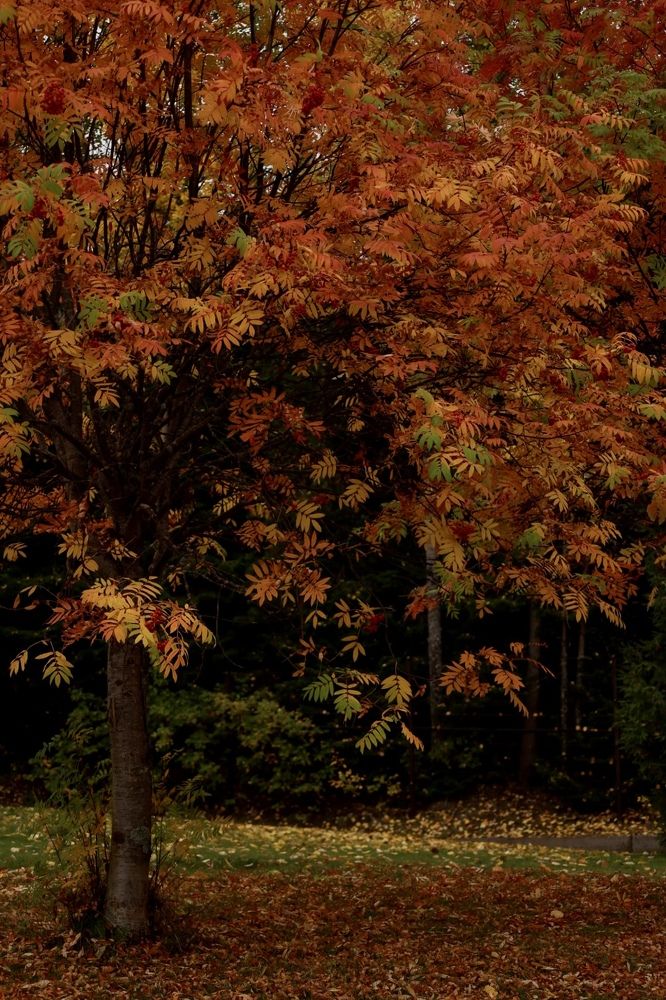 Photograph by Татьяна Смирнова