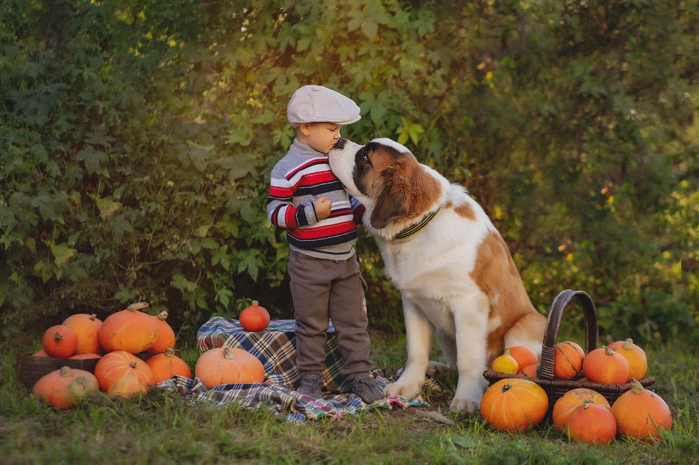 Photograph by ольга алашинова