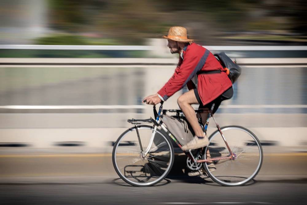Фотография автора Carlos Gianoli