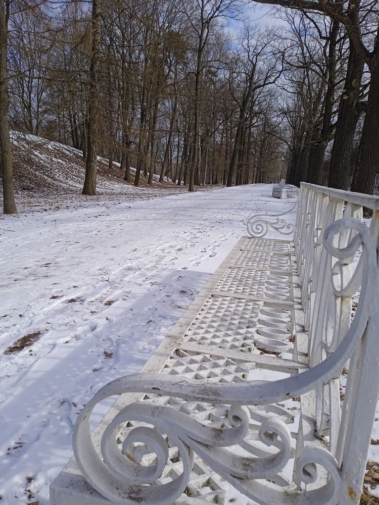 Там, где рождается поэзия