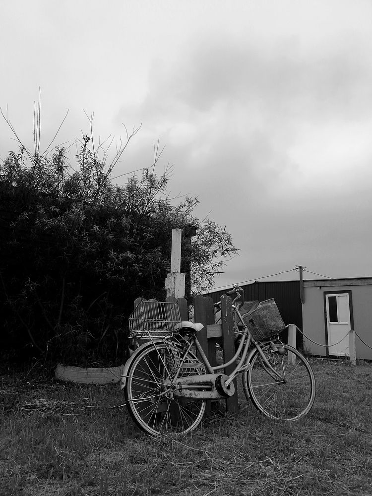 Стоишь на берегу моря и чувствуешь соленый запах ветра...