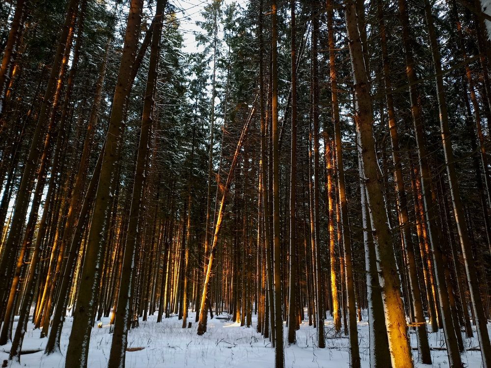 Photograph by Анастасия