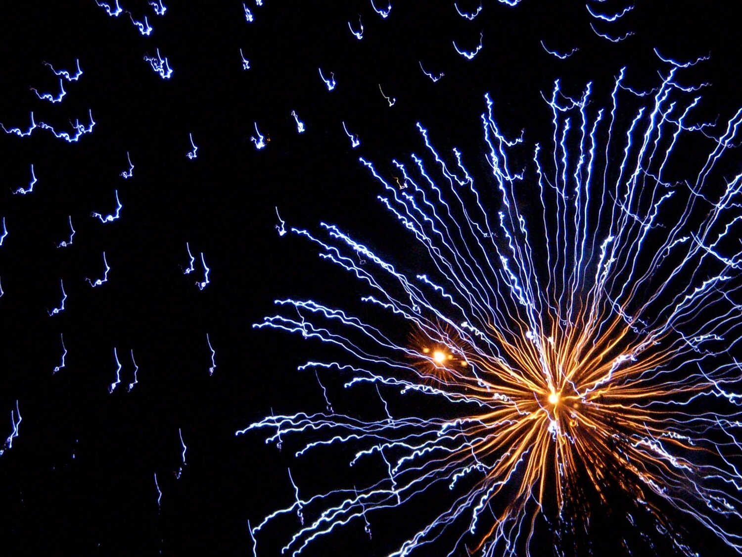 Photo #11070464