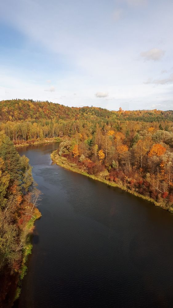 Cable car view over golden Sigulda