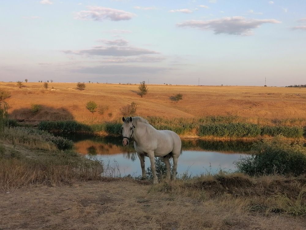 Photograph by Анжелика