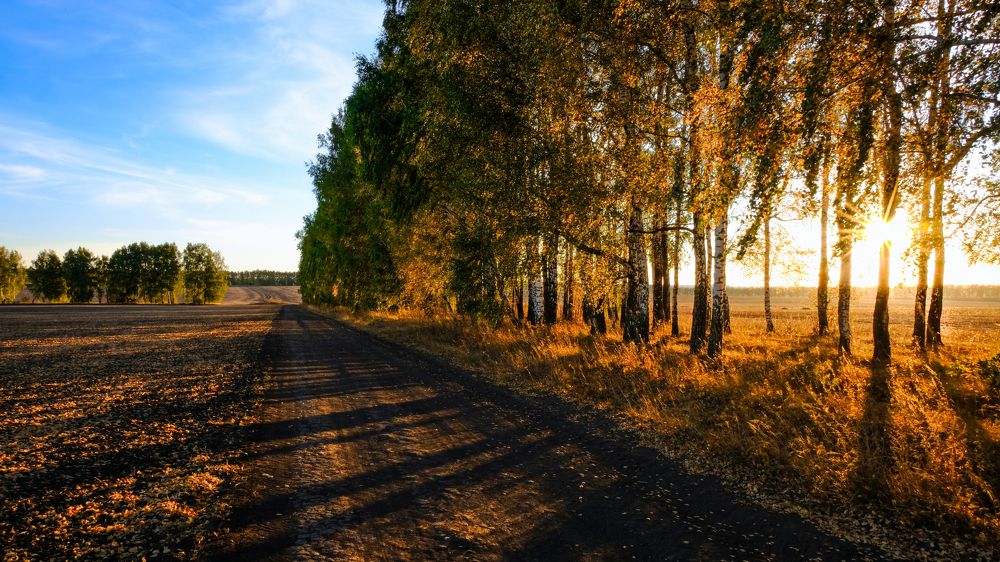 Photograph by Александр Елизаров