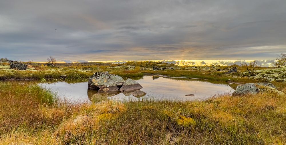 Photograph by Елена Данченко