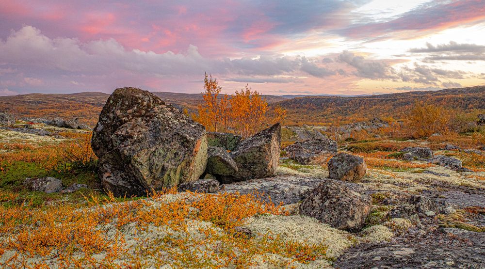 Photograph by Елена Данченко