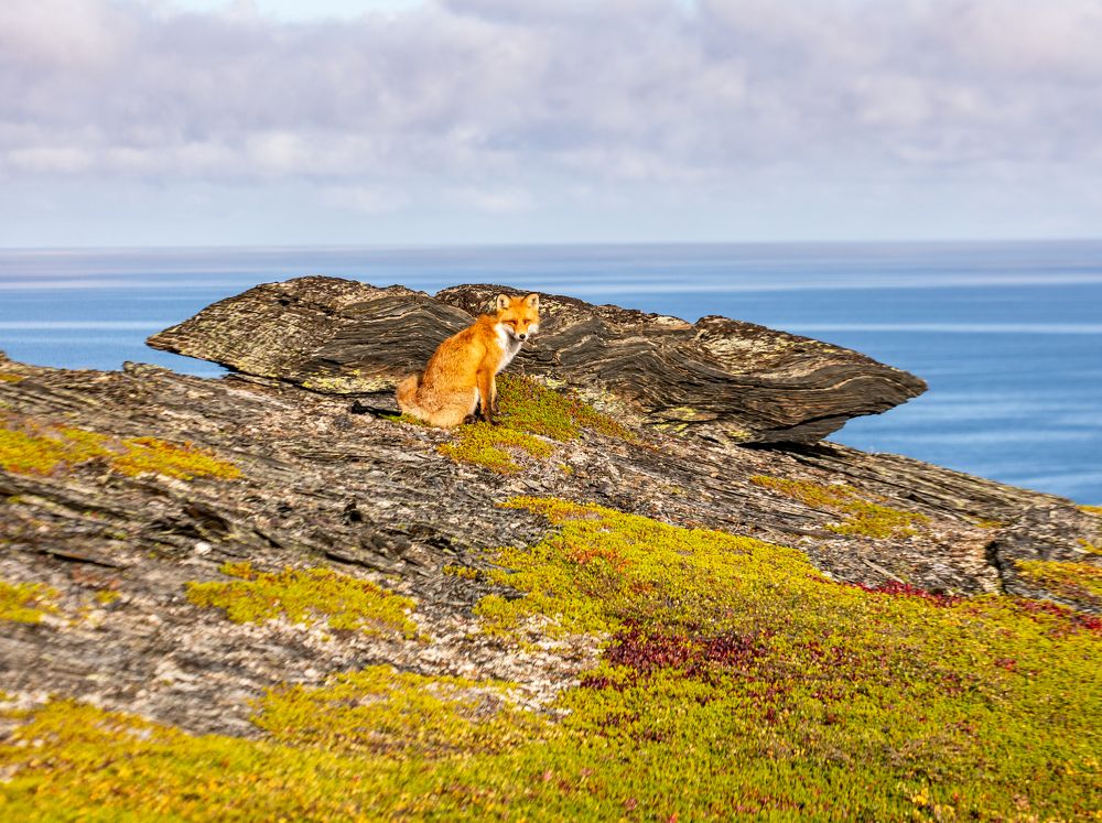 Photograph by Елена Данченко