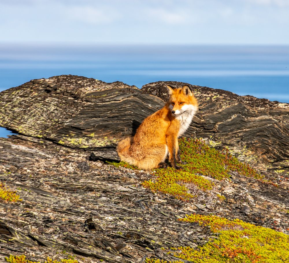 Photograph by Елена Данченко