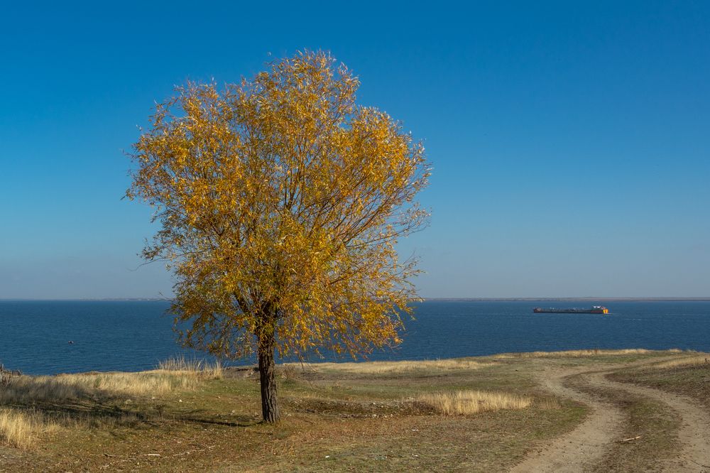 Photograph by Ольга Салтыкова