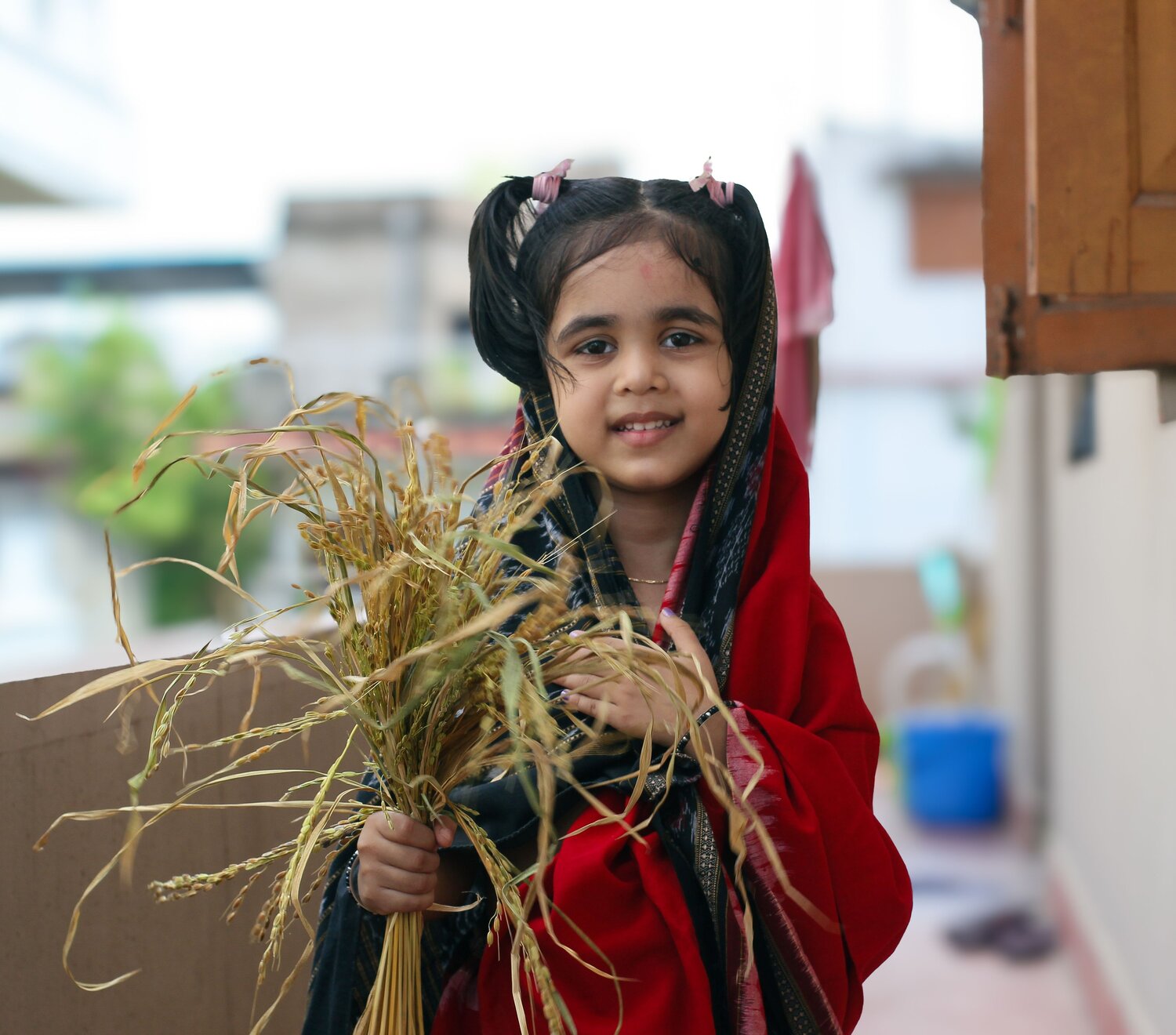 Heritage in Bloom: A Young Soul in Sambalpuri Grace