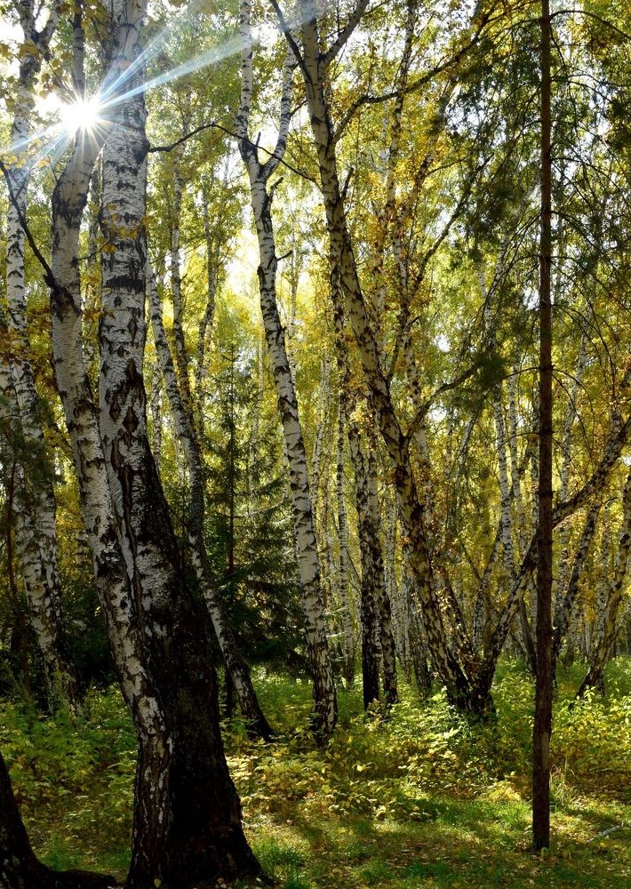 Photograph by Арина