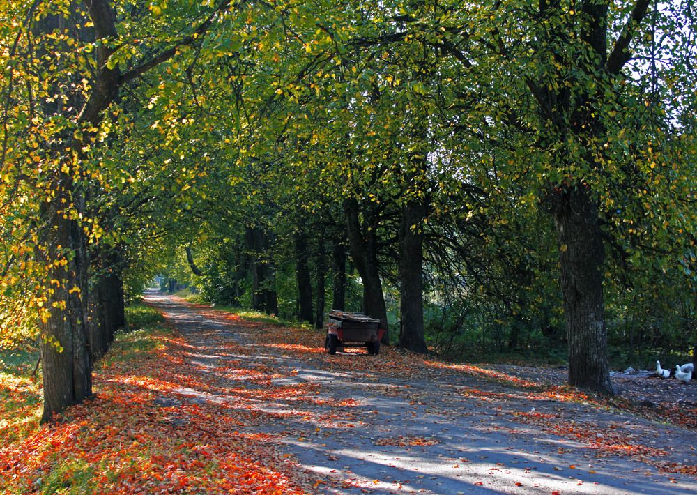 Photograph by Алла Бойко