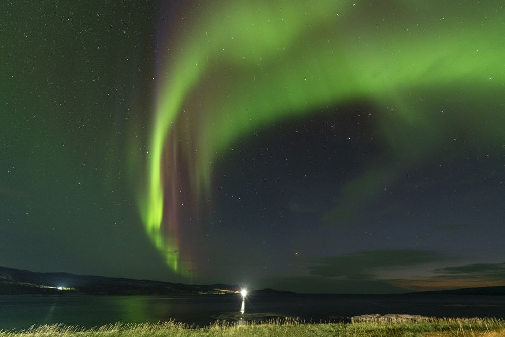 Photograph by Алексей Новиков