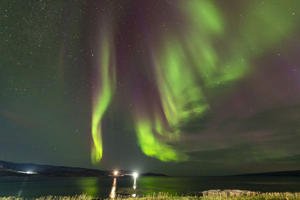 Photograph by Алексей Новиков