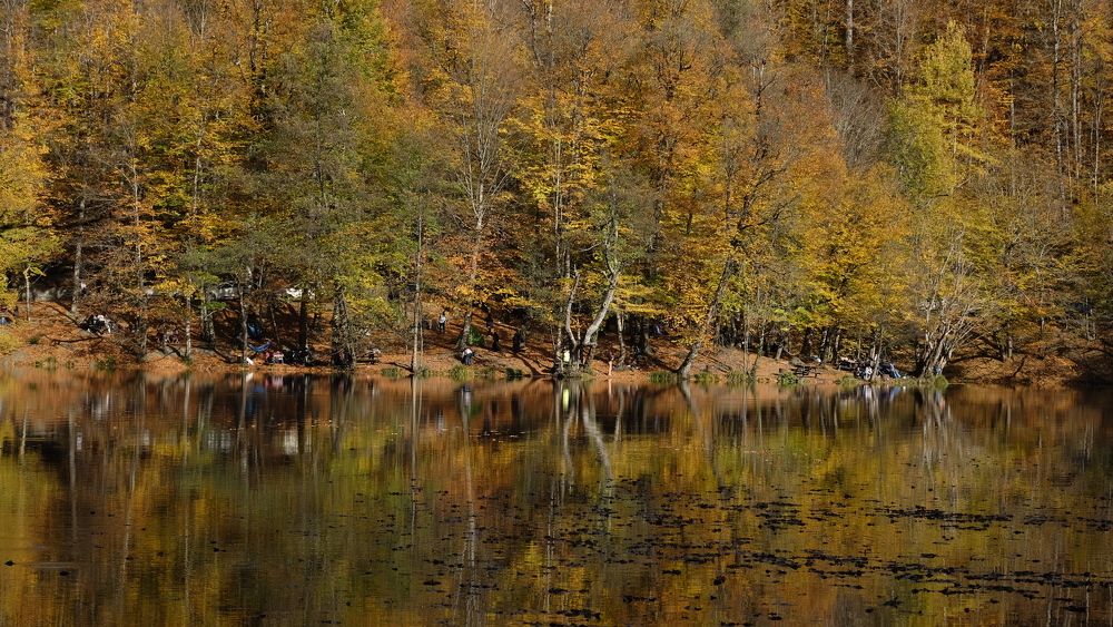 Photograph by Muzaffer Sütlüoğlu