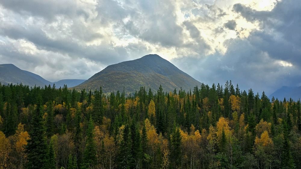 Photograph by Анна Семенова