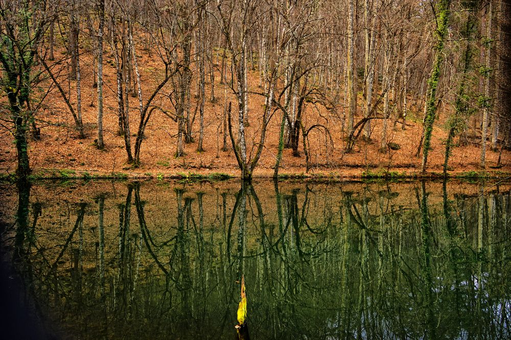 Photograph by Muzaffer Sütlüoğlu