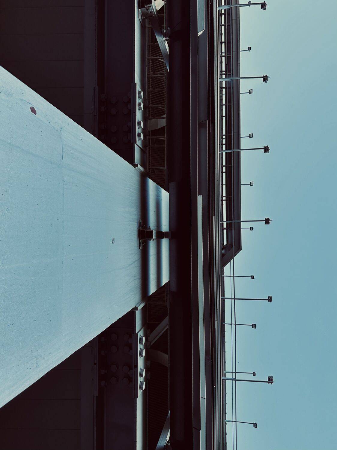 Photo #11070810