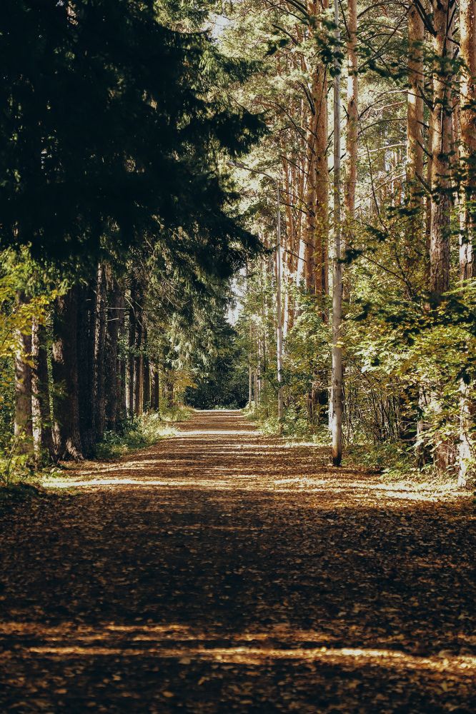 Фотография автора Дарина Чечулина