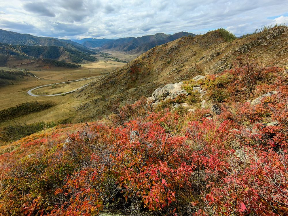 Photograph by Марина Корреа Ластра