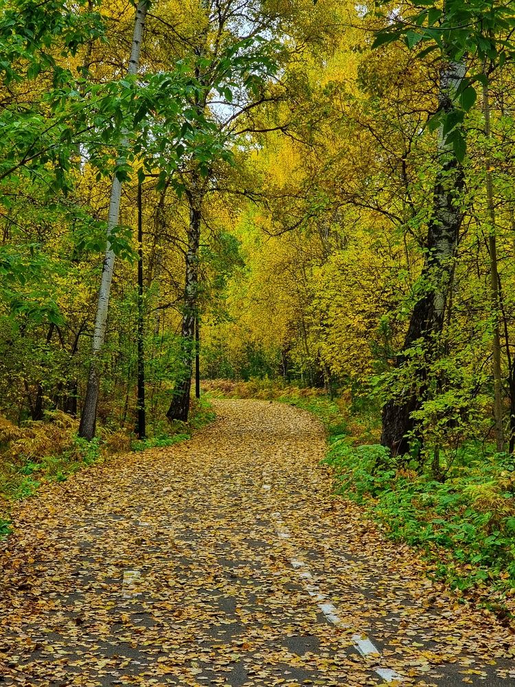 Photograph by Лилия Шарифуллина