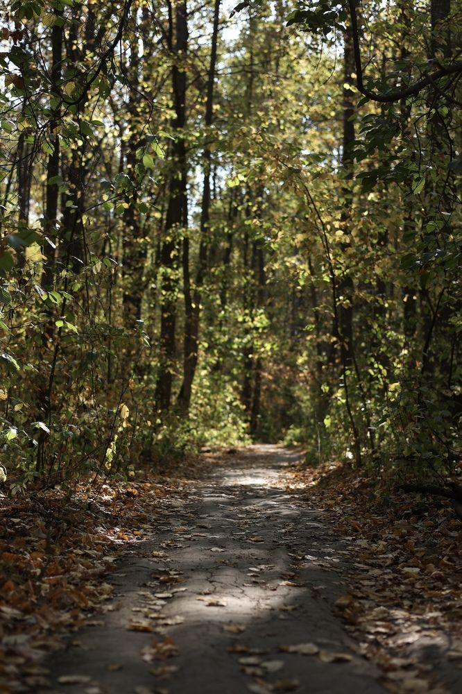 Фотография автора Anastasia