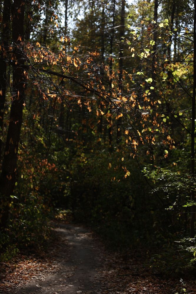 Фотография автора Anastasia
