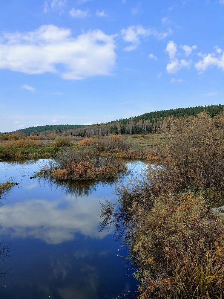 Photograph by Анастасия Горбачева