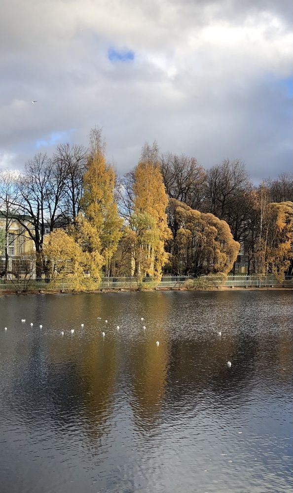 Photograph by Мария Бессмертная