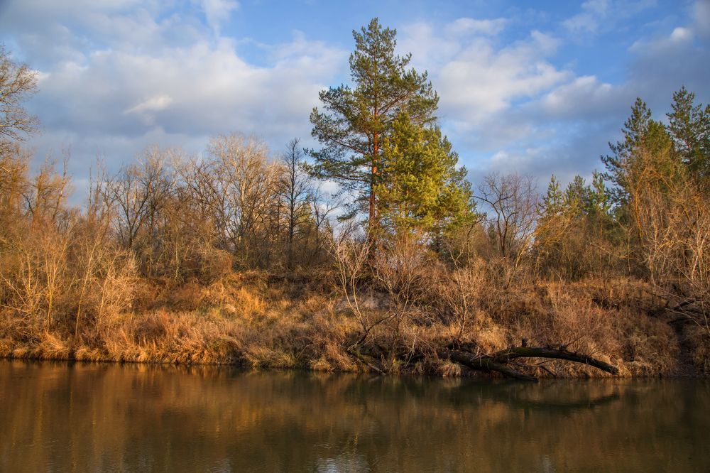 Photograph by Ольга