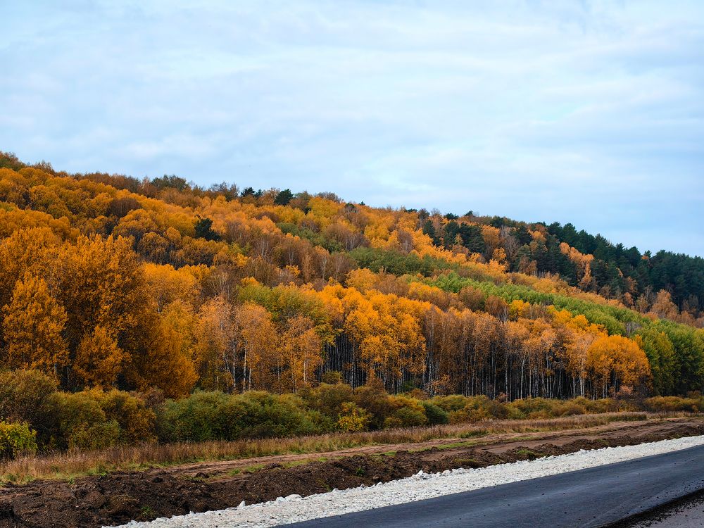 Photograph by Сергей Гриднев